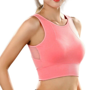 Nelly Classic Padded Sports Bra - dil se yoga