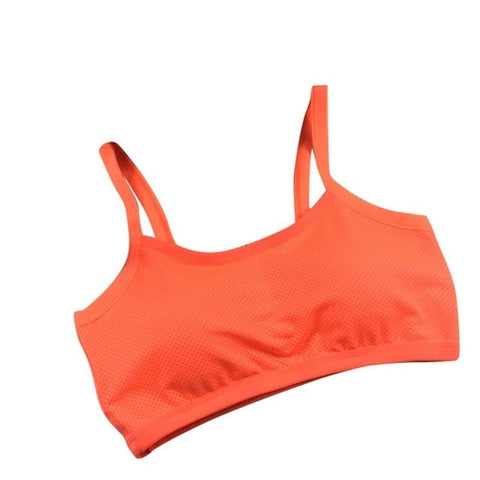 Image of Arancia Cage Backed Sports Bra - dil se yoga