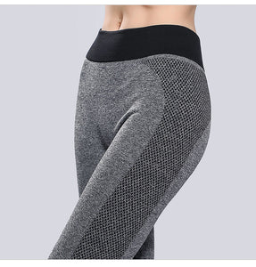 Albreda High Waist Elastic Yoga Pants